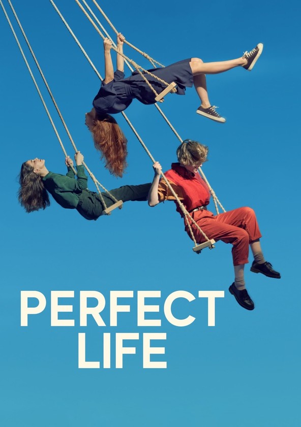 постер Идеальная жизнь